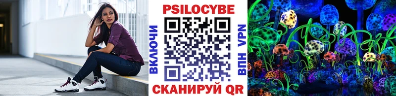 купить закладку  Жирновск  Псилоцибиновые грибы Psilocybe 