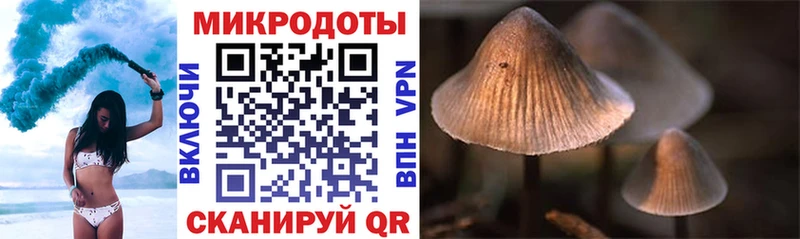 Галлюциногенные грибы ЛСД Жирновск